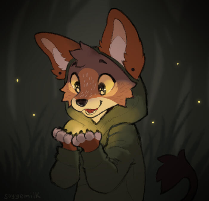 catching fireflies